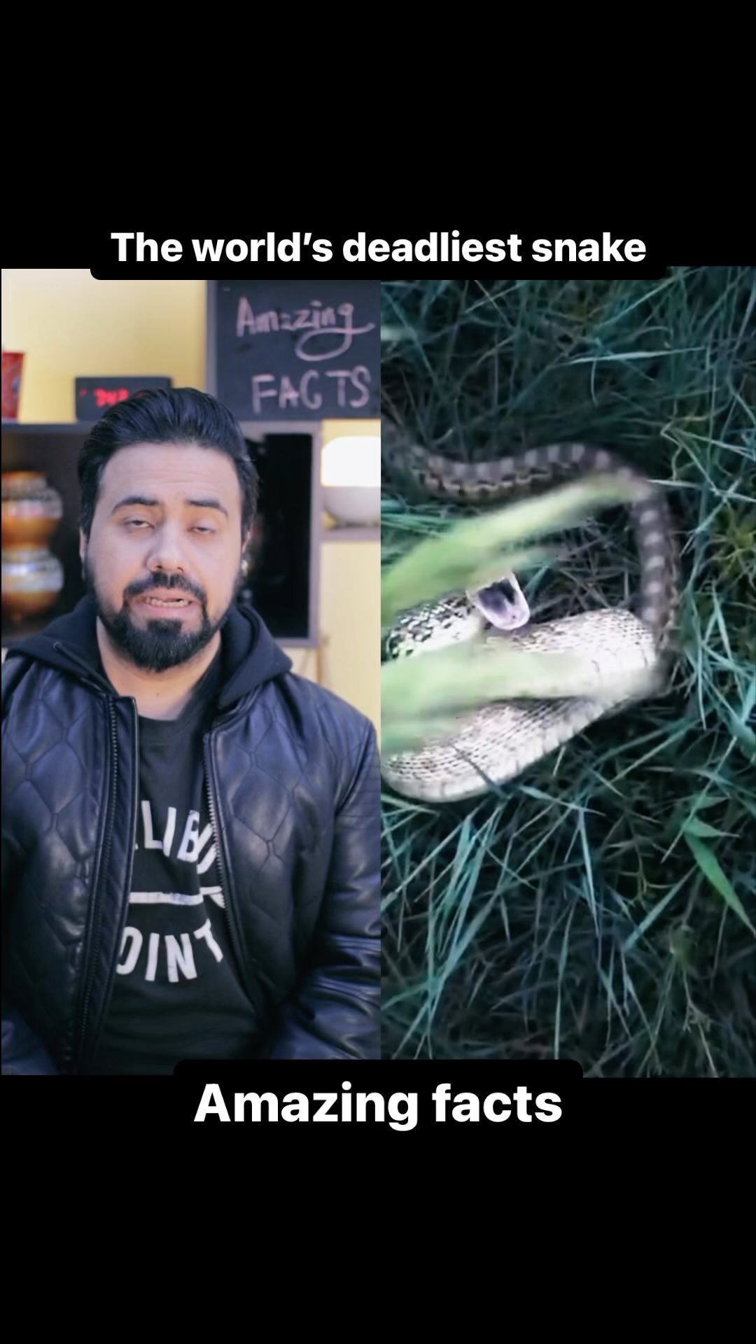 Mobeen Akhtar Reel - Deadly Snakes