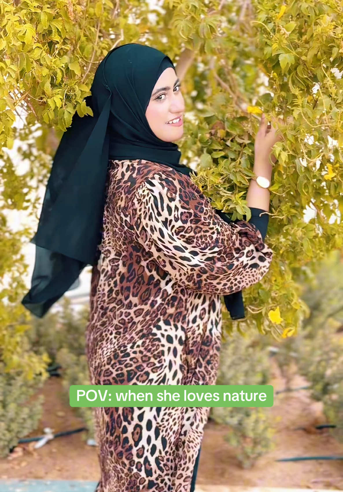 Is tree par wapis flower nhi aey